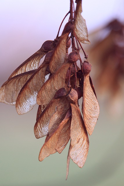 Alergie na Štípnutí: Jak Reagovat na Nepříjemné Bodnutí?