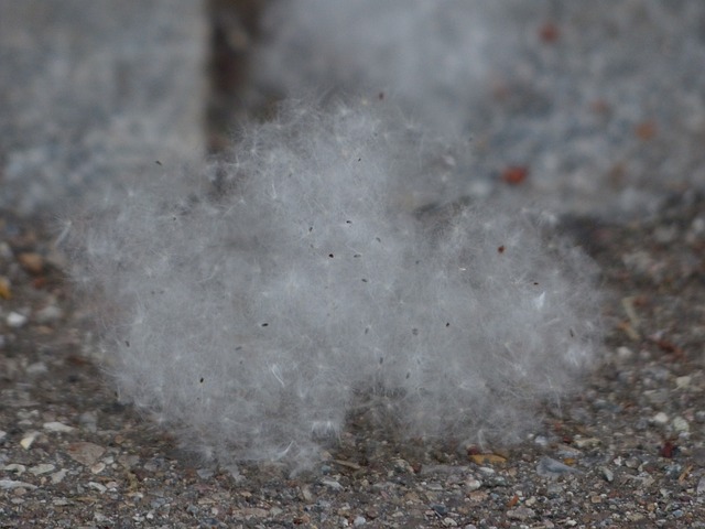 Tipy pro zvládání alergické rýmy: ⁢domácí prostředí a osobní péče