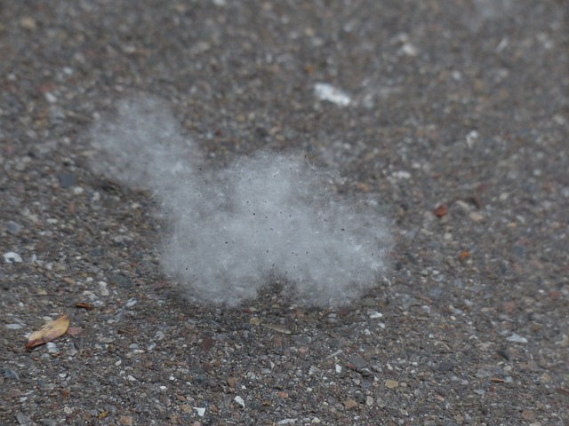 Jak ulehčit ​symptomy⁢ alergické ⁤rýmy ⁢přirozenými způsoby: alternativní léčba a ​doplňky ⁣stravy