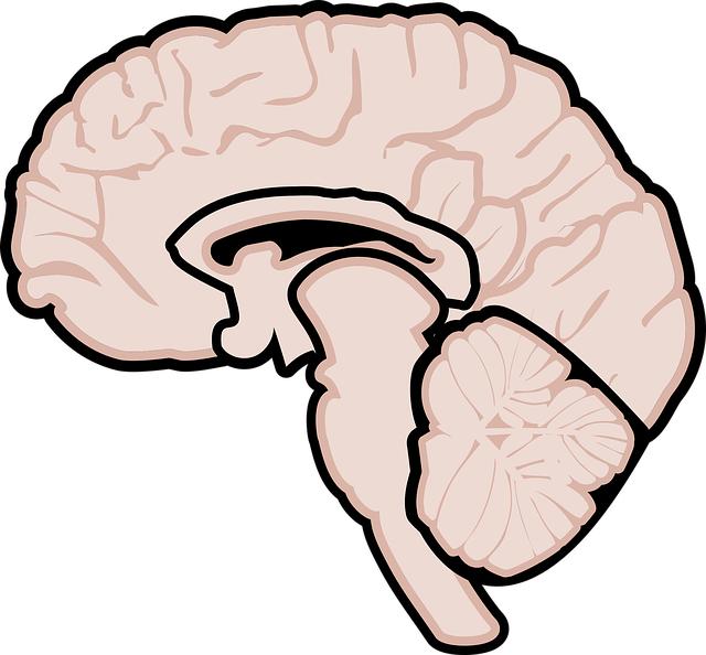 Maca prášek a roztroušená skleróza: Možnosti pro pacienty s touto nemocí.