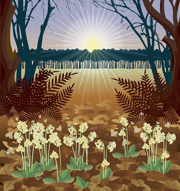 Jak snížit riziko nežádoucích reakcí při užívání Primulu?